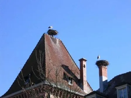 Obersolberg 2*