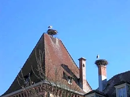 Obersolberg Hotel Eschbach-au-Val