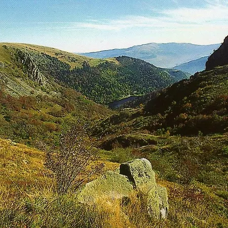 Отель Obersolberg 2*