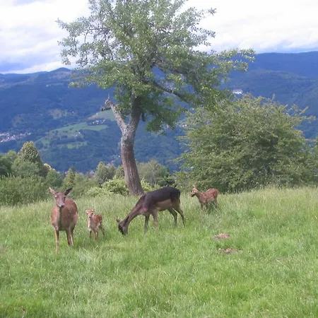 奥博索尔伯格旅馆 2* Eschbach-au-Val