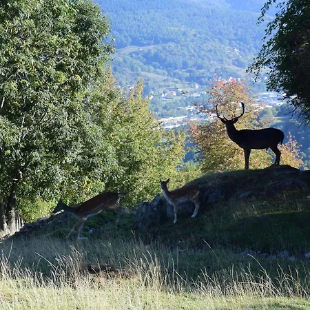 Obersolberg Отель 2*