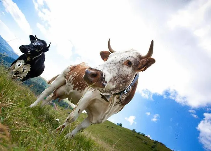 Obersolberg 2* Eschbach-au-Val