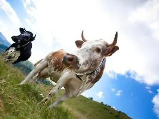 Obersolberg 2* Eschbach-au-Val