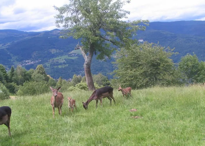 Obersolberg 2* Eschbach-au-Val