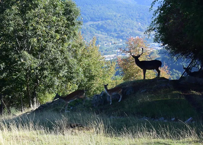 Obersolberg Hotel 2*